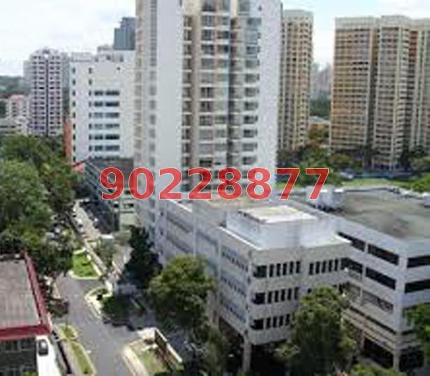 D'Lotus (D12), Apartment #127370862
